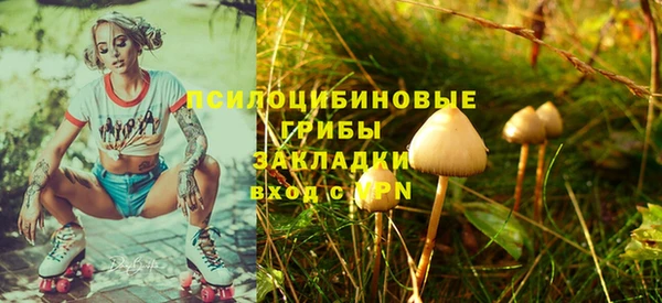 крисы Арсеньев