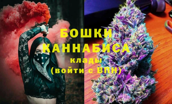 крисы Арсеньев