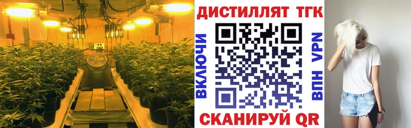 ТГК концентрат  где купить наркоту  Михайловск 