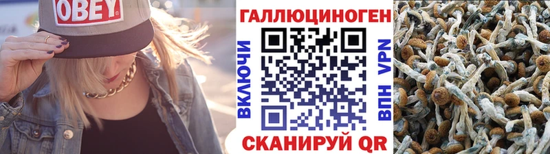 Псилоцибиновые грибы Magic Shrooms  Михайловск 